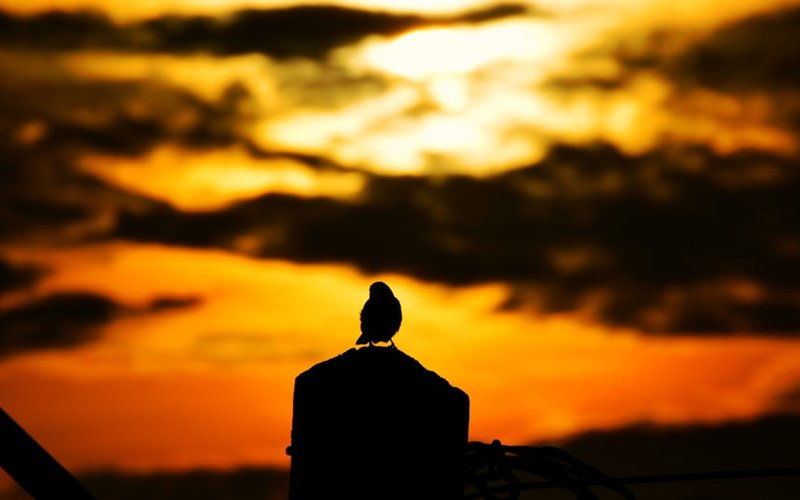 Douala nightlife guide