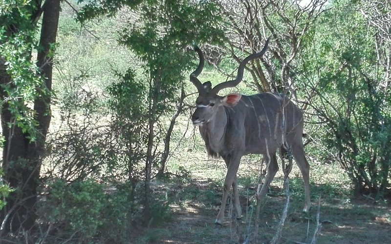 Gaborone nightlife guide