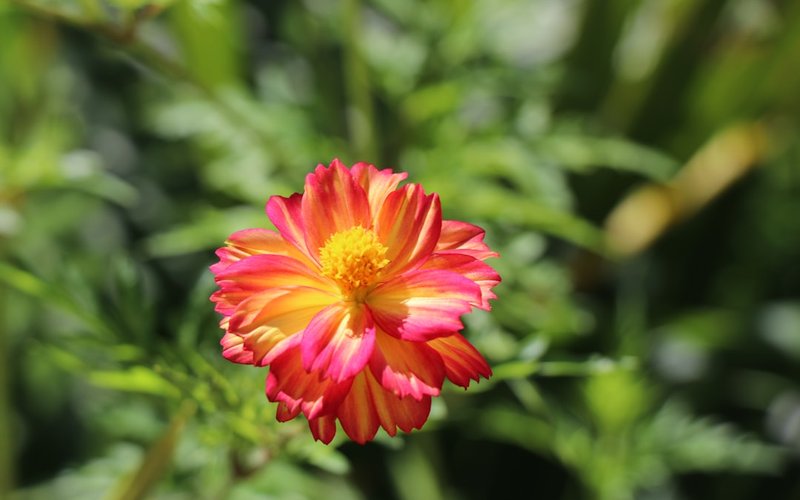 Port Moresby nightlife guide