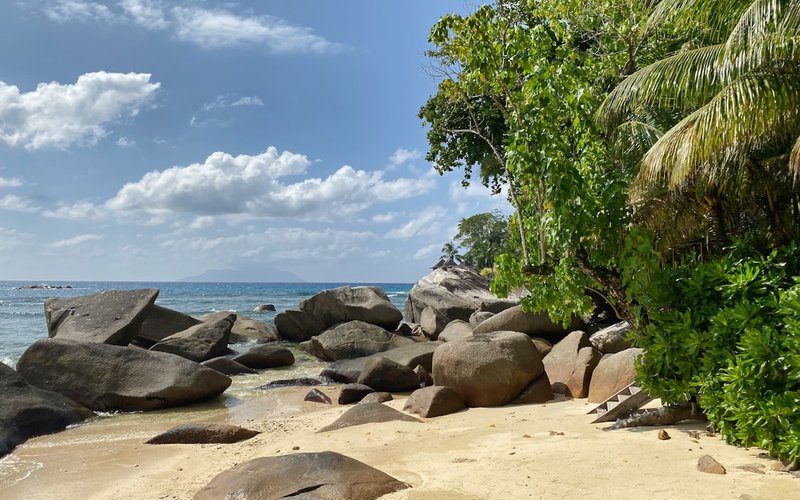 Victoria nightlife guide