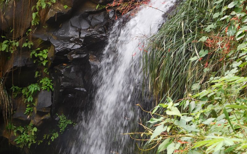 Grenada nightlife guide