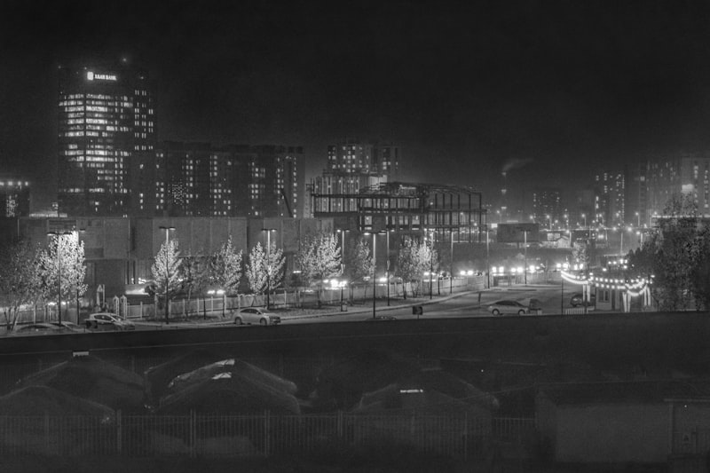 Mongolia nightlife guide