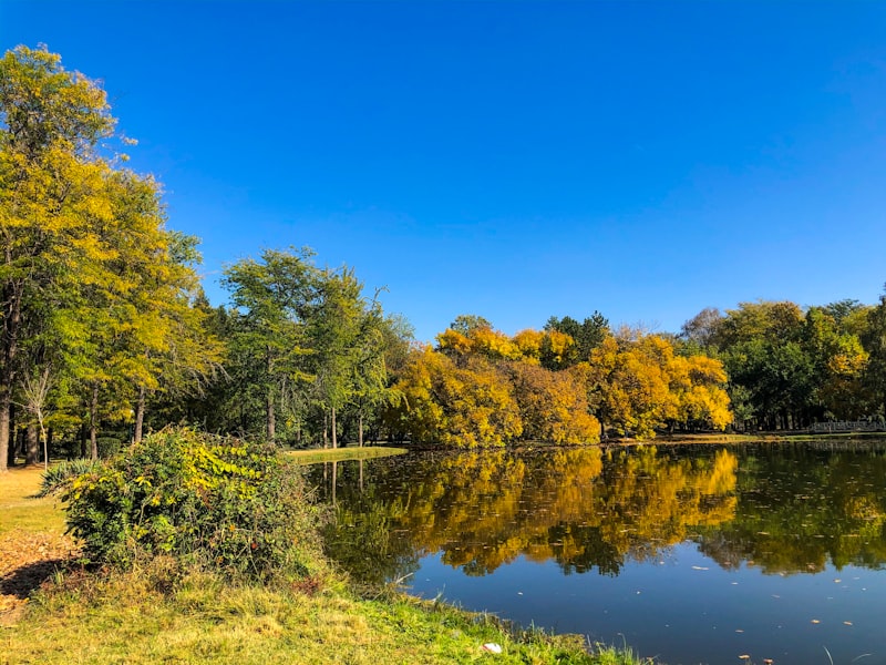 North Macedonia nightlife guide