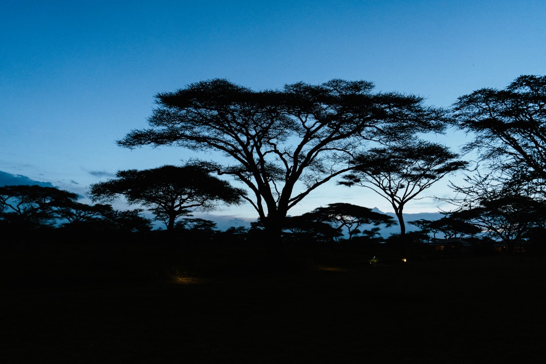 Tanzania nightlife guide