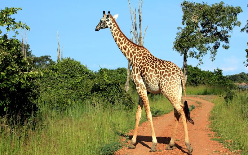 Zambia nightlife guide