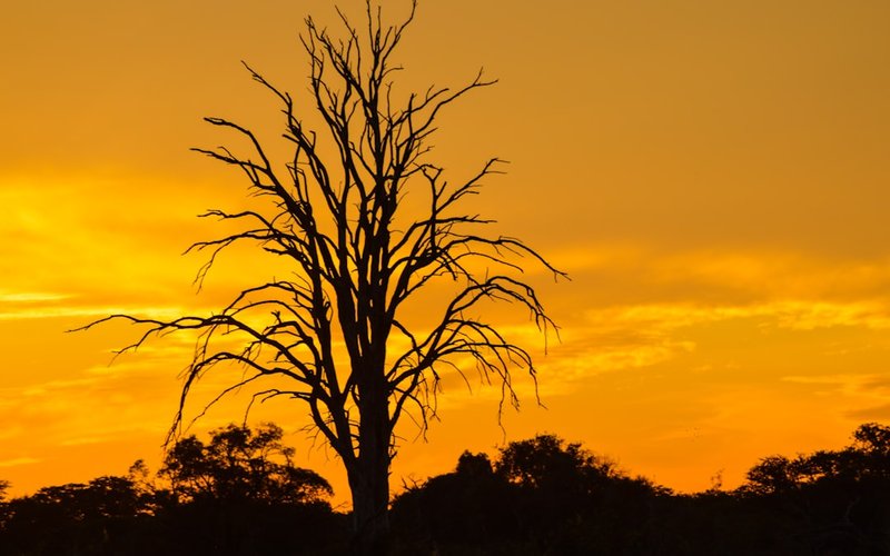 Zimbabwe nightlife guide