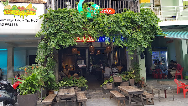 Gecko Pub